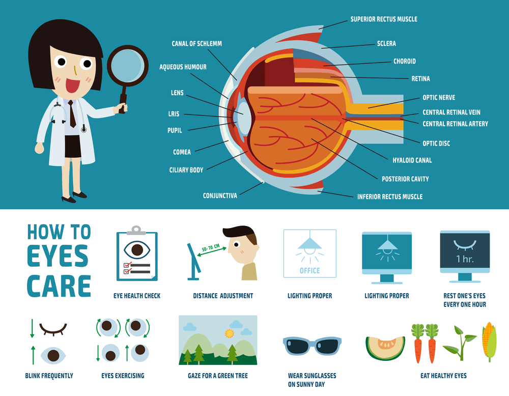 How to Take Care of Your Eye Health Daily